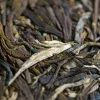 Pu Erh Verde di Oripuerlab Da Xue Shan 215