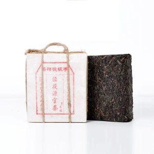 Tè Pu Erh Fu Zhuan – Mattone 450g (2020) – Jing Fu Yuan